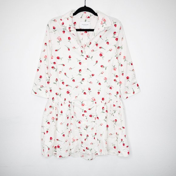 The Shirt by Rochelle Behrens Dresses & Skirts - The Shirt by Rochelle Behrens Drop Waist Shirt Dress Smile Girl Rose Print GG11